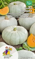 tykva-kroshka-1