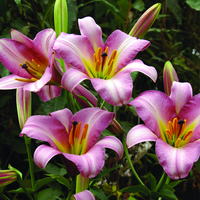 f1_ee61d0eb-0871-4d2c-b3f6-ab21ccfec71c