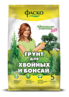 �����_����_������_5�