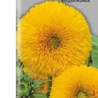 ������������ ���������� ����������