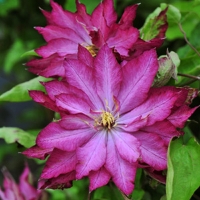 �������������������������������