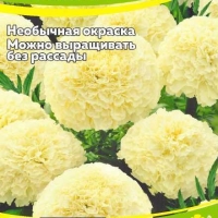 �������������������������������