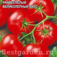 �������������������������������