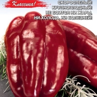 �������������������������������