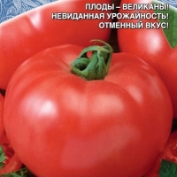 �������������������������������