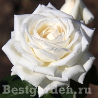 f1_9c2fab14-d94e-4e9a-8e92-998fa2a0db59