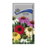 �������������������������������