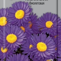 ���� ����