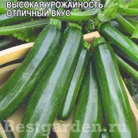 ������� ������ 2 ��.