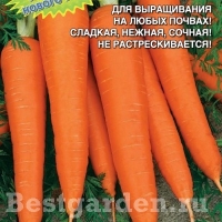 �������������������������������