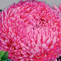 ee3cf11d-a730-11e2-a11b-001e8cc1c8cb_ffecd572-a81e-11e2-a714-00241ddb6fe3