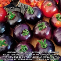 �������������������������������