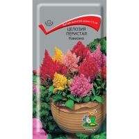 ������� �������� ������