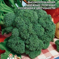 ������� �������� �����