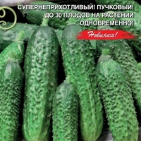 ������ ������� F1