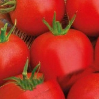 �����-�����-F1