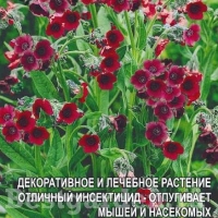 �������������������������������