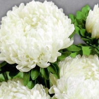 3920878de3703cb4105bd2d60a755360