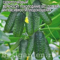 �������������������������������