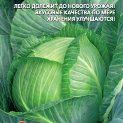 �������-������������-����-��-��������-F1