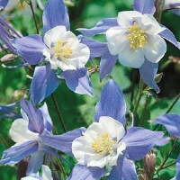  / ��������� ������� ������ ������.