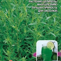 �������� ����������