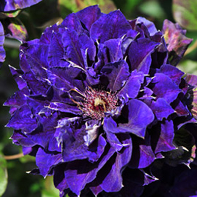 �������������������������������