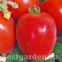 �������������������������������