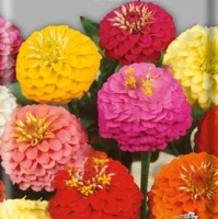 �������������������������������