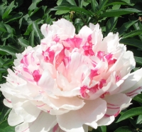 ���������� ������