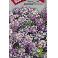 ������� ���������� ��������