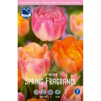 miks-tyulpanov-spring-fregens-1-w800-h800