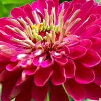 ������ ������� ������ �����