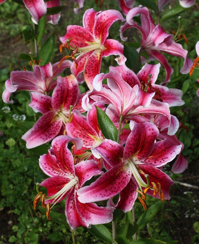 f1_6c920f88-a185-4ead-8409-6603523b155a