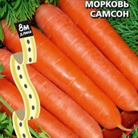 ������� ������ (����) �