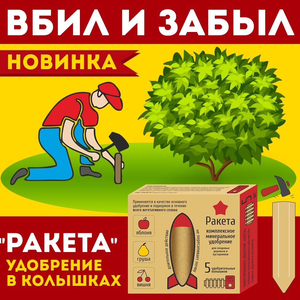 ������ ��������