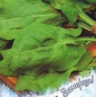 �������������������������������