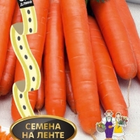 ������� �������� ������ F1 (�� �����)