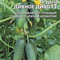 �������������������������������