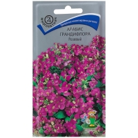 ������ ����������� �������