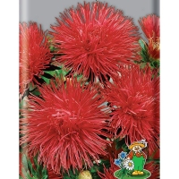 ����� ���������� ���� �������