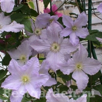 f1_56e709cc-a36f-41a2-880f-d04fc52e01c0