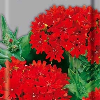 �������������������������������