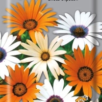 ����������� ����� �������