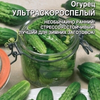 �������������������������������
