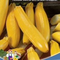 �������������������������������