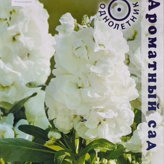 �������� �������� �����