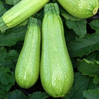 m_9355