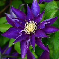 �������������������������������